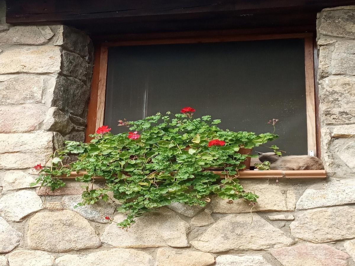 Naturaleza, Confort Y Vistas Inigualable En Casa Rural La Cumbre Gata Exterior foto