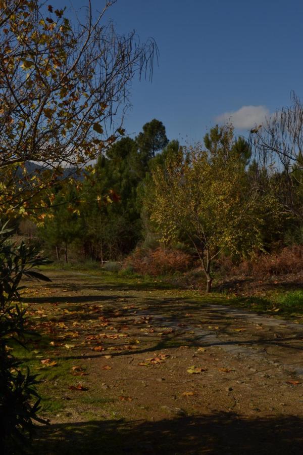 Naturaleza, Confort Y Vistas Inigualable En Casa Rural La Cumbre Gata Exterior foto